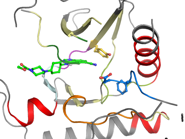 The orthosteric binding pocket