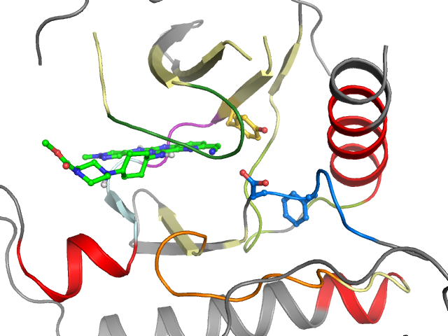 The orthosteric binding pocket