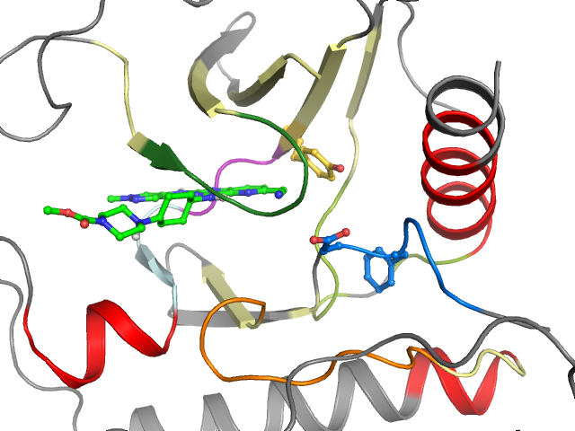 The orthosteric binding pocket