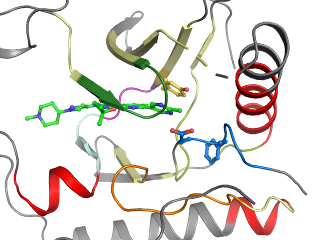 The orthosteric binding pocket