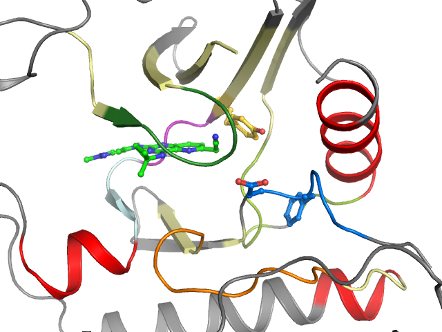 The orthosteric binding pocket