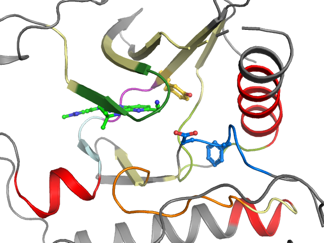 The orthosteric binding pocket