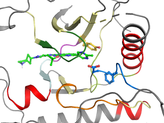 The orthosteric binding pocket