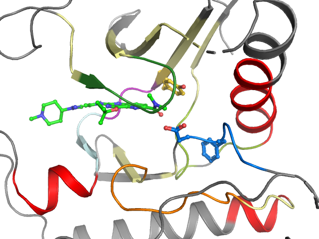 The orthosteric binding pocket