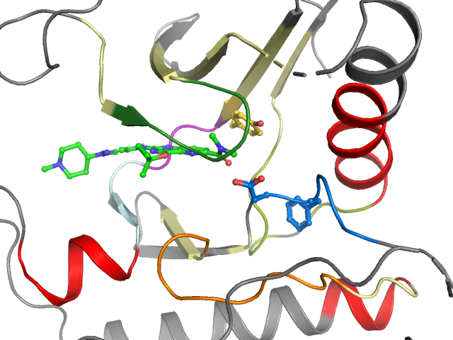 The orthosteric binding pocket