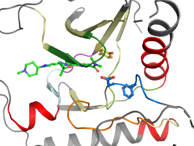 The orthosteric binding pocket