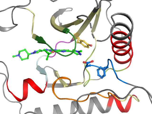 The orthosteric binding pocket