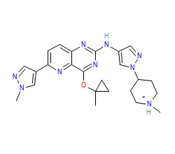 2D structure of the orthosteric ligand