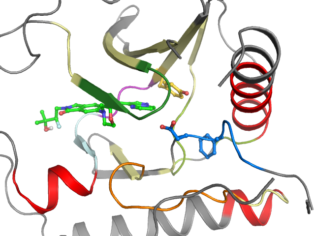 The orthosteric binding pocket