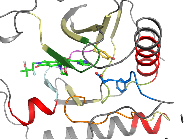 The orthosteric binding pocket