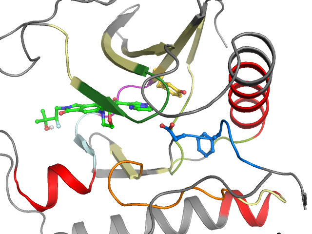 The orthosteric binding pocket