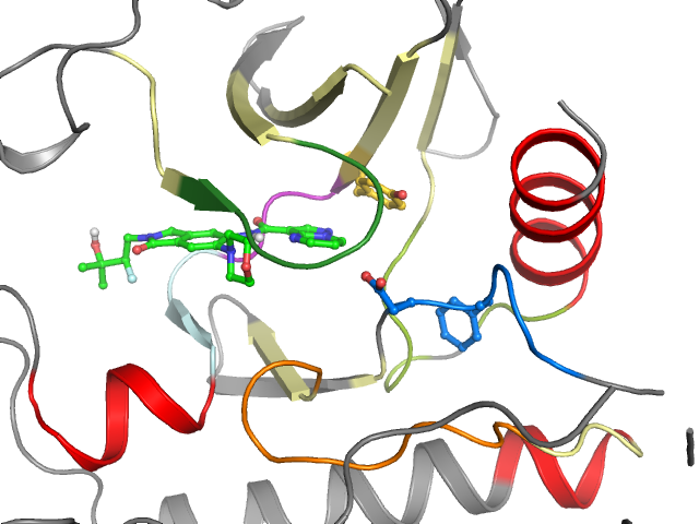 The orthosteric binding pocket