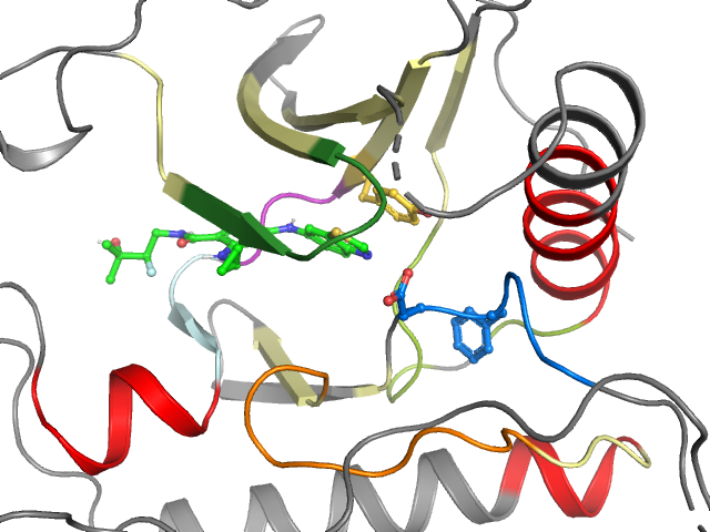 The orthosteric binding pocket