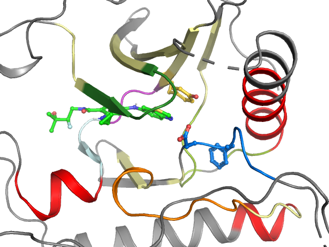 The orthosteric binding pocket