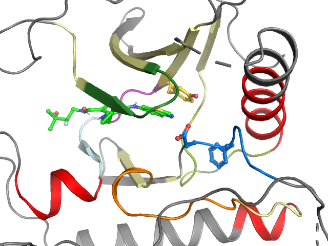 The orthosteric binding pocket