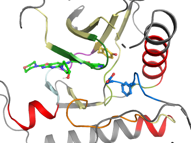The orthosteric binding pocket