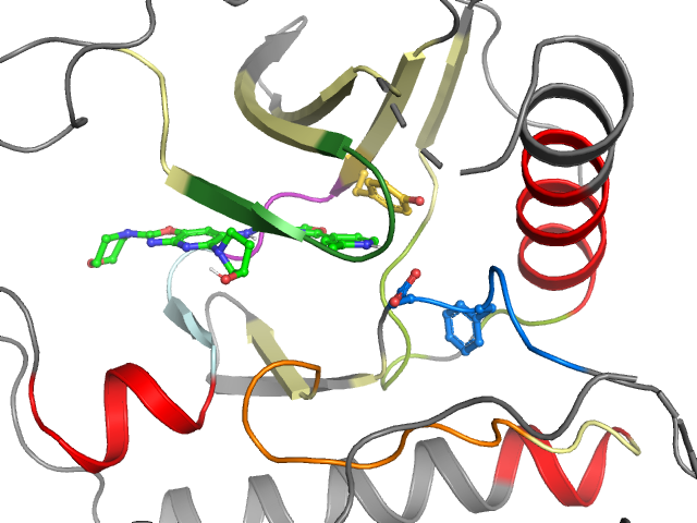 The orthosteric binding pocket