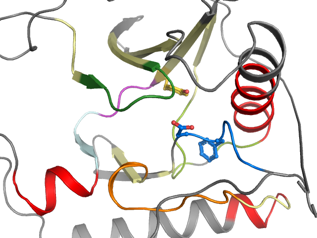 The orthosteric binding pocket