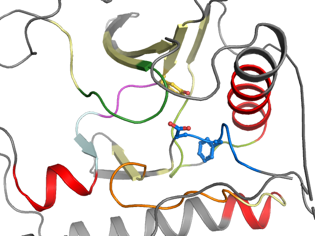 The orthosteric binding pocket