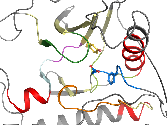 The orthosteric binding pocket