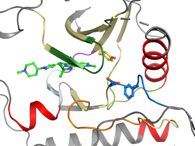 The orthosteric binding pocket