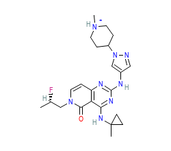 2D structure of the orthosteric ligand