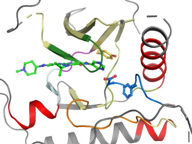 The orthosteric binding pocket