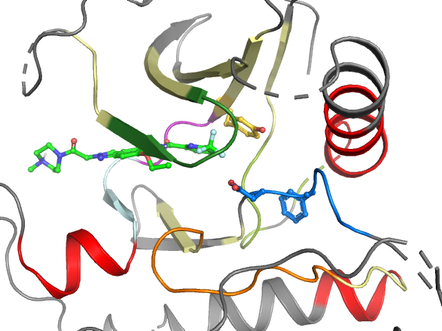 The orthosteric binding pocket