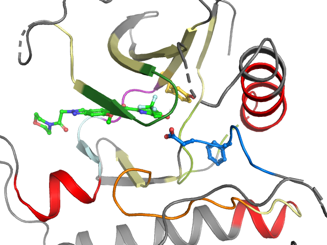The orthosteric binding pocket