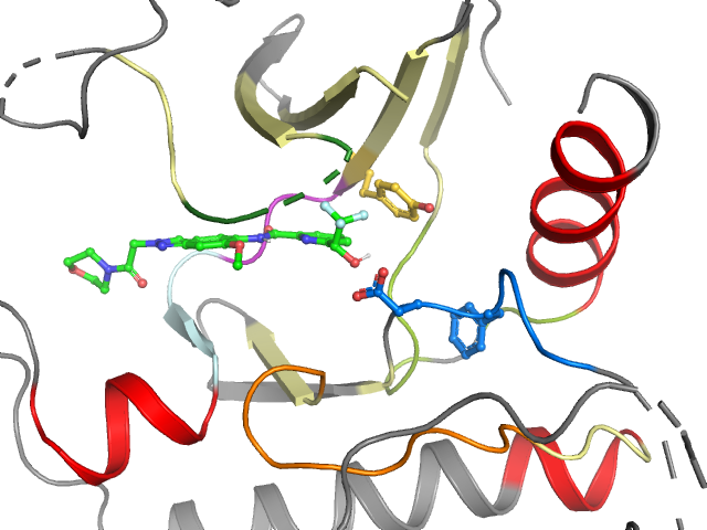 The orthosteric binding pocket