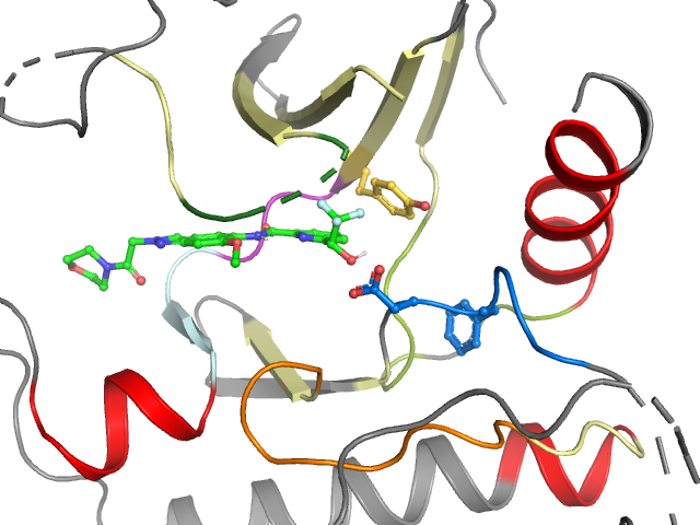 The orthosteric binding pocket
