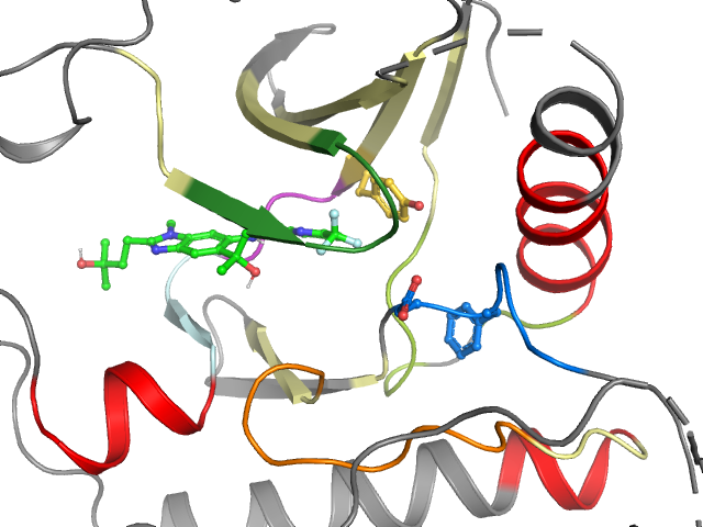 The orthosteric binding pocket