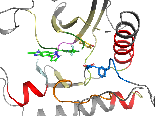 The orthosteric binding pocket