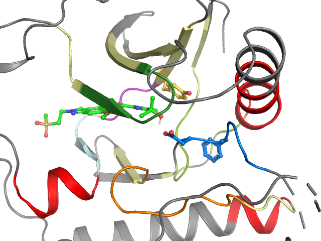 The orthosteric binding pocket