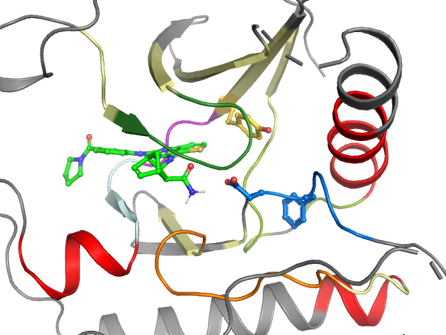 The orthosteric binding pocket