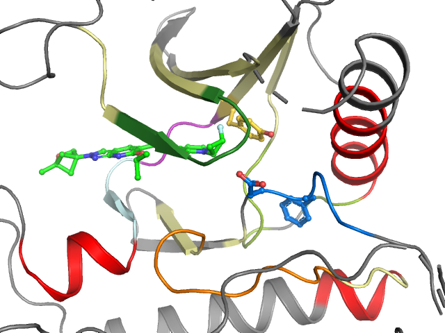 The orthosteric binding pocket