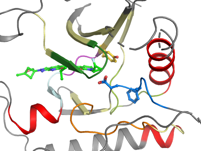 The orthosteric binding pocket