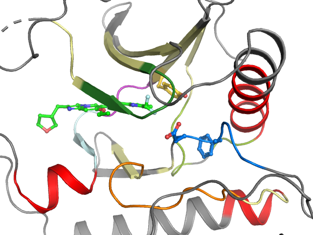 The orthosteric binding pocket
