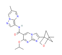 2D structure of the orthosteric ligand