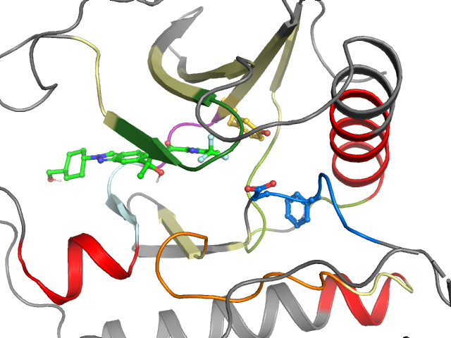 The orthosteric binding pocket
