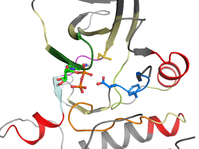 The orthosteric binding pocket