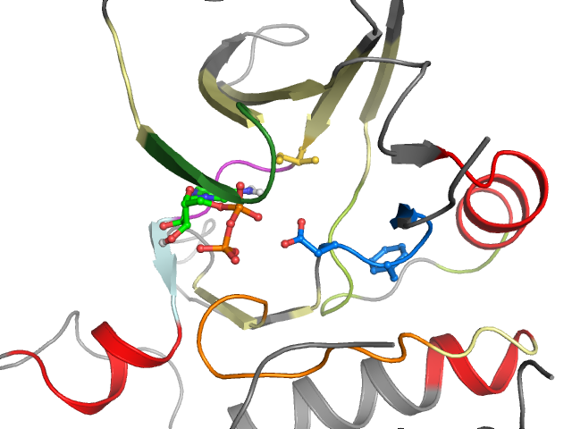 The orthosteric binding pocket