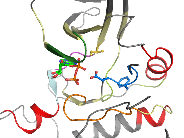 The orthosteric binding pocket