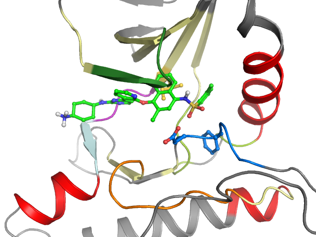 The orthosteric binding pocket