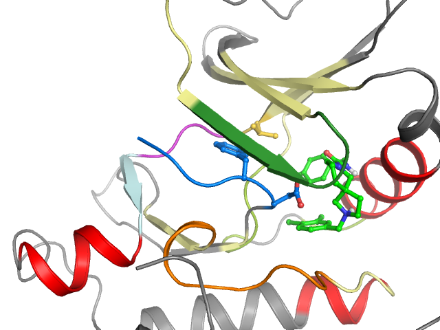 The orthosteric binding pocket