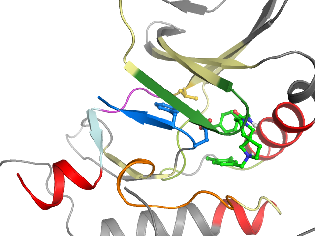 The orthosteric binding pocket
