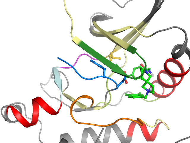 The orthosteric binding pocket