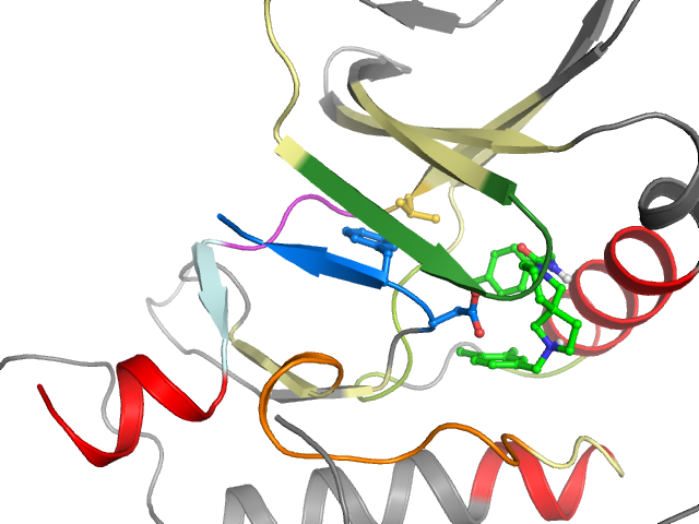 The orthosteric binding pocket