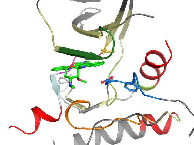 The orthosteric binding pocket