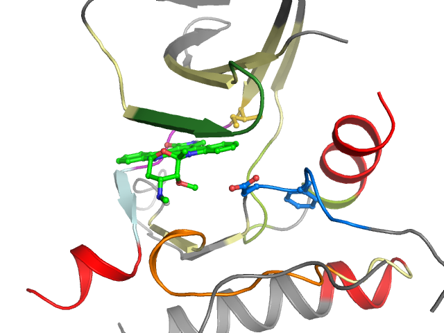 The orthosteric binding pocket